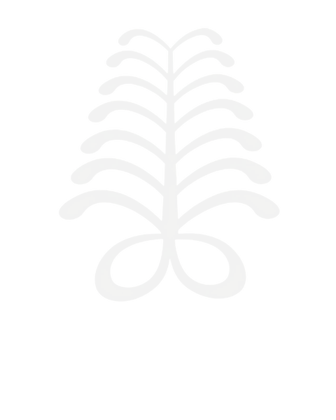 store_logo