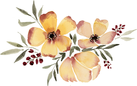 Boutique Bérengère B. Art Illustratrice et Aquarelliste 