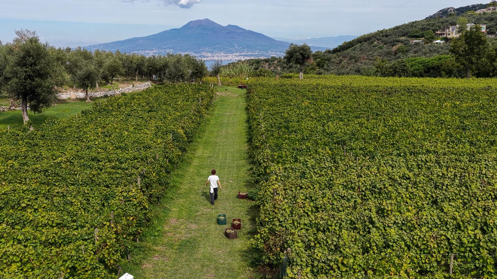 Foto dall'alto con Drone