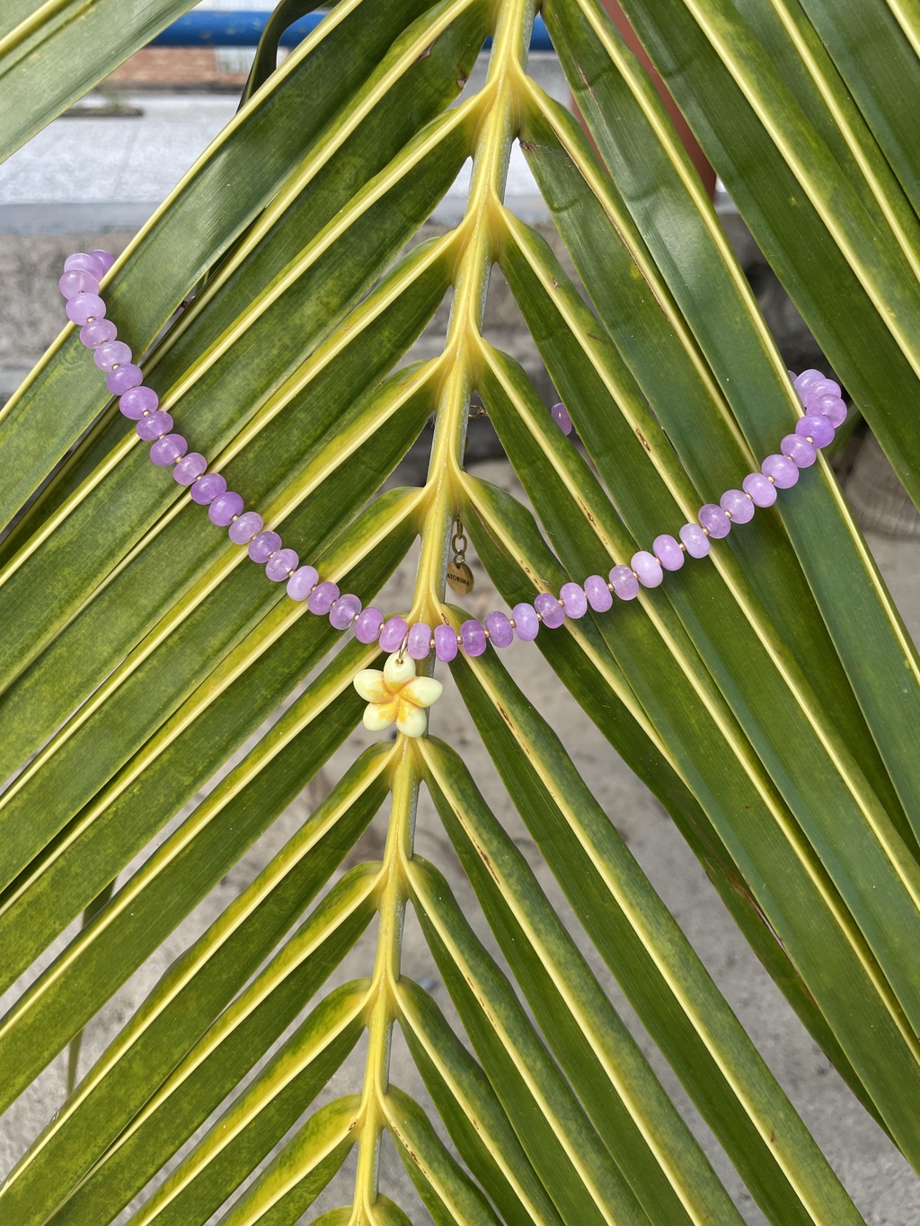 banner_image