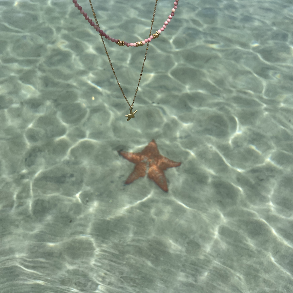 banner_image
