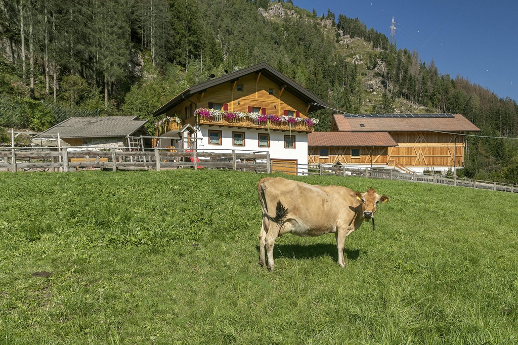 Grazie alle nostre mucche abbiamo prodotti di alta qualitá e facciamo di tutto per farle stare al meglio!