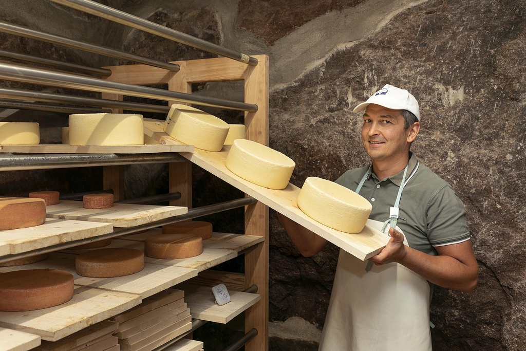 Formaggi biologici artigianali