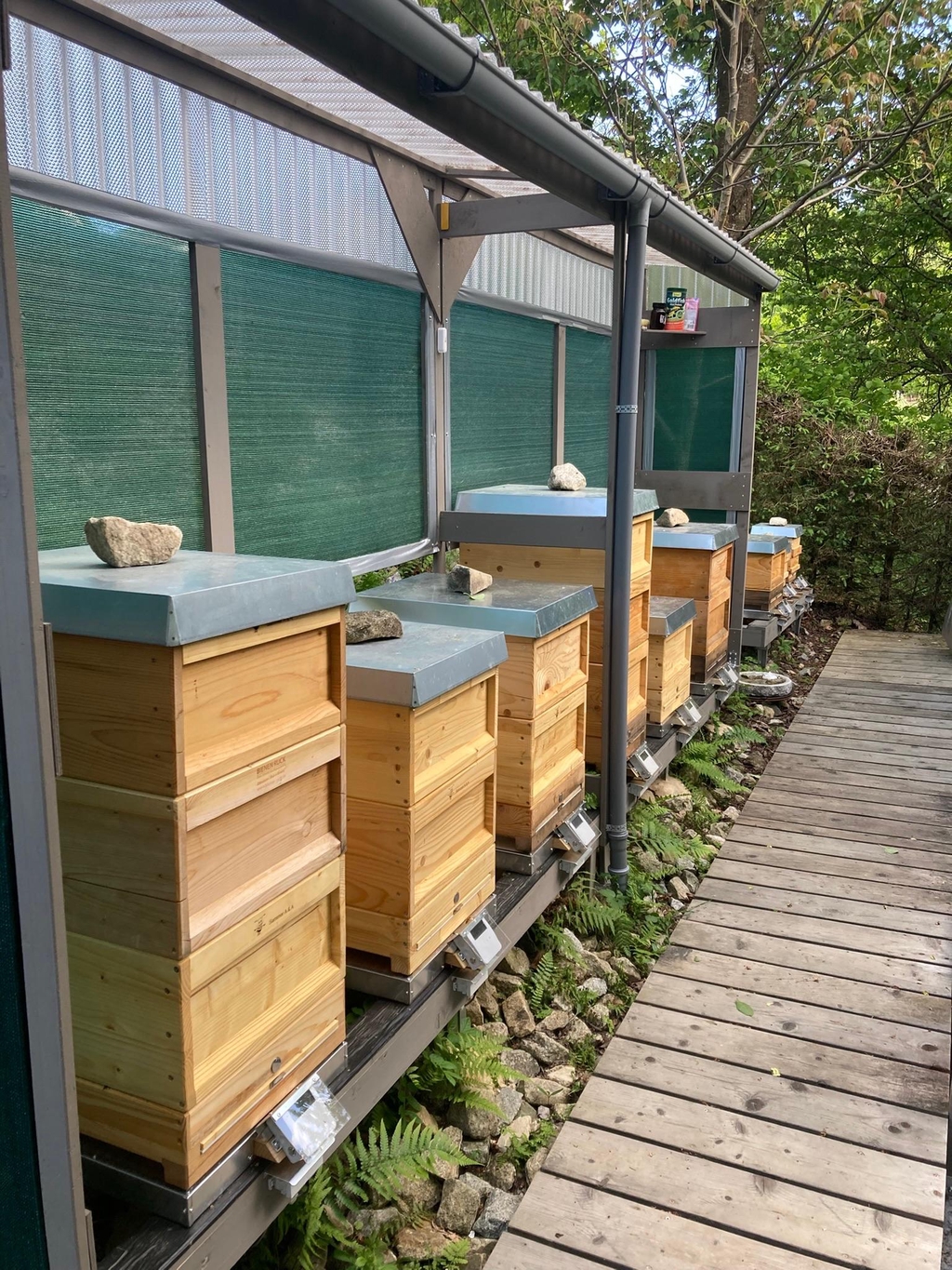 Imkerei Sammer Alex&Alex 