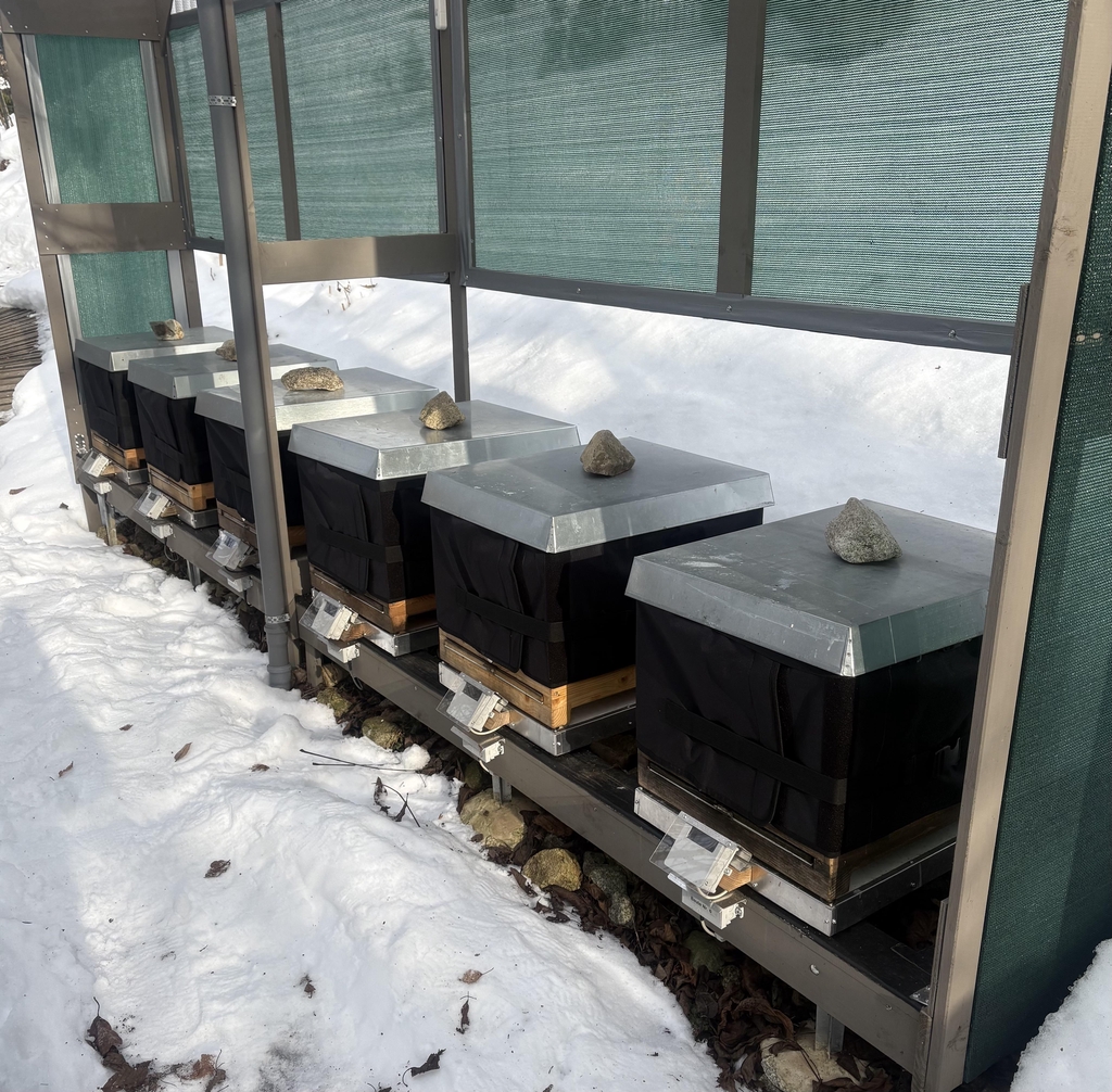 Imkerei Sammer Alex&Alex 