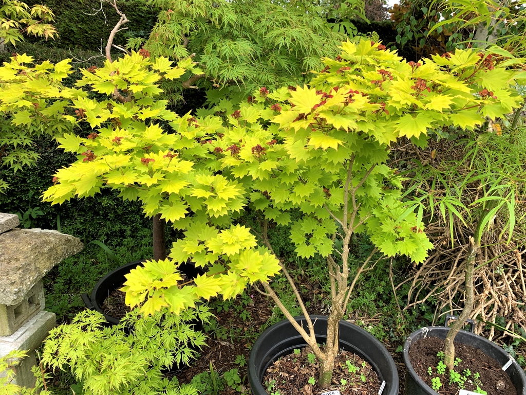 product_list_image_cover