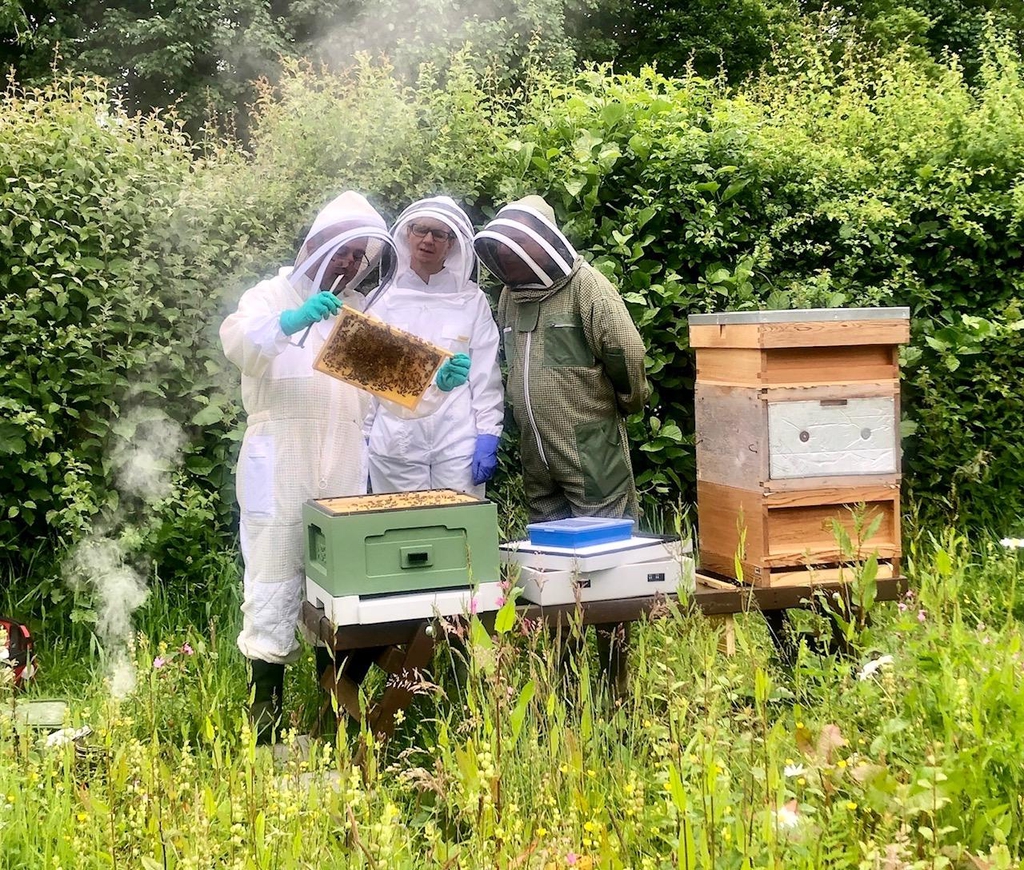 Natural raw Devon honey made by bees near Tavistock in the Tamar Valley. Direct from the Beekeeper.