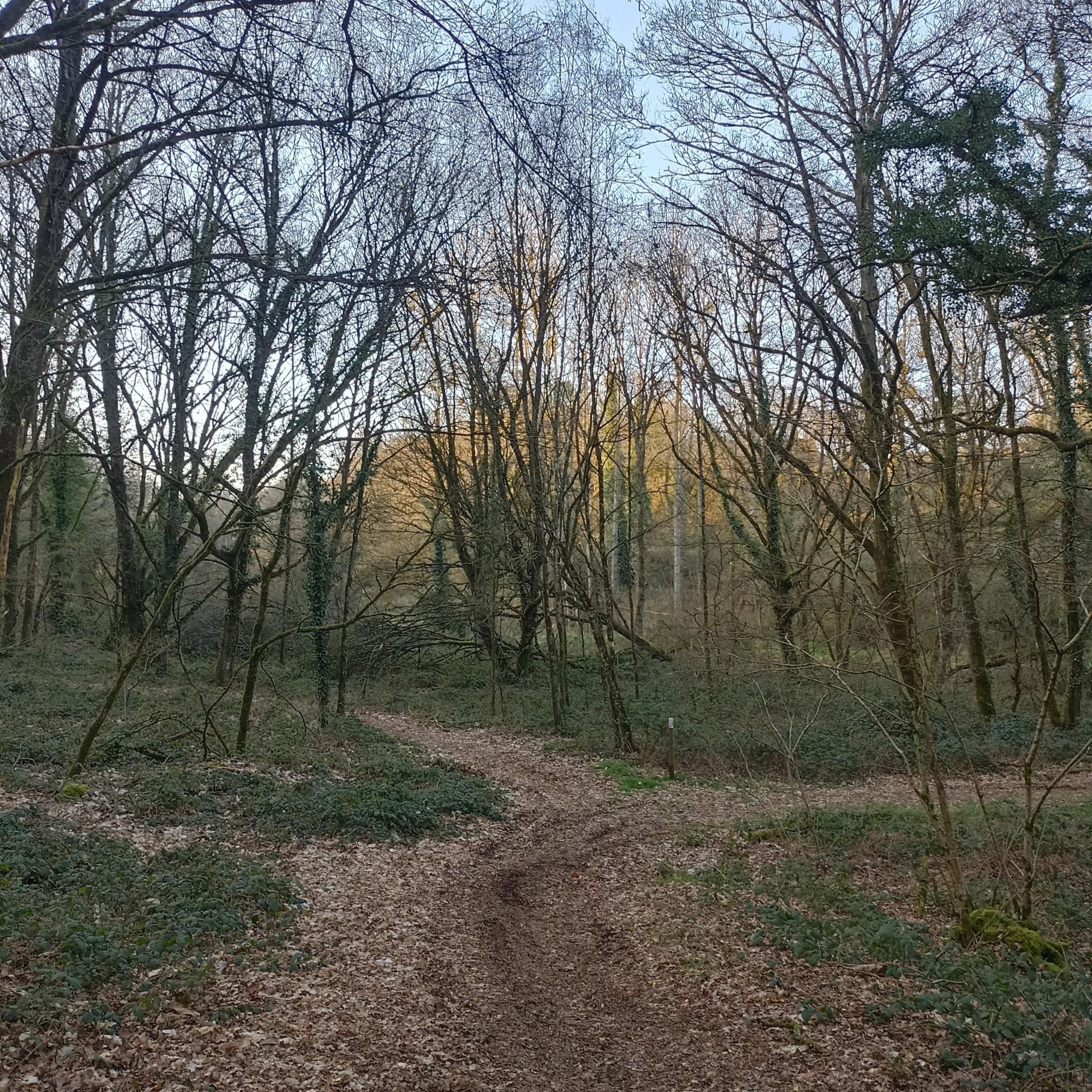 Section image