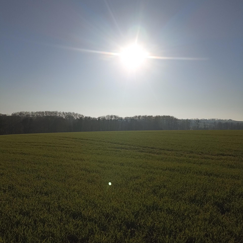 banner_image