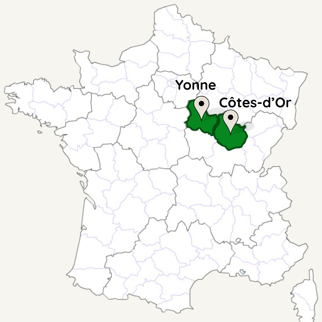Vins de Bourgogne