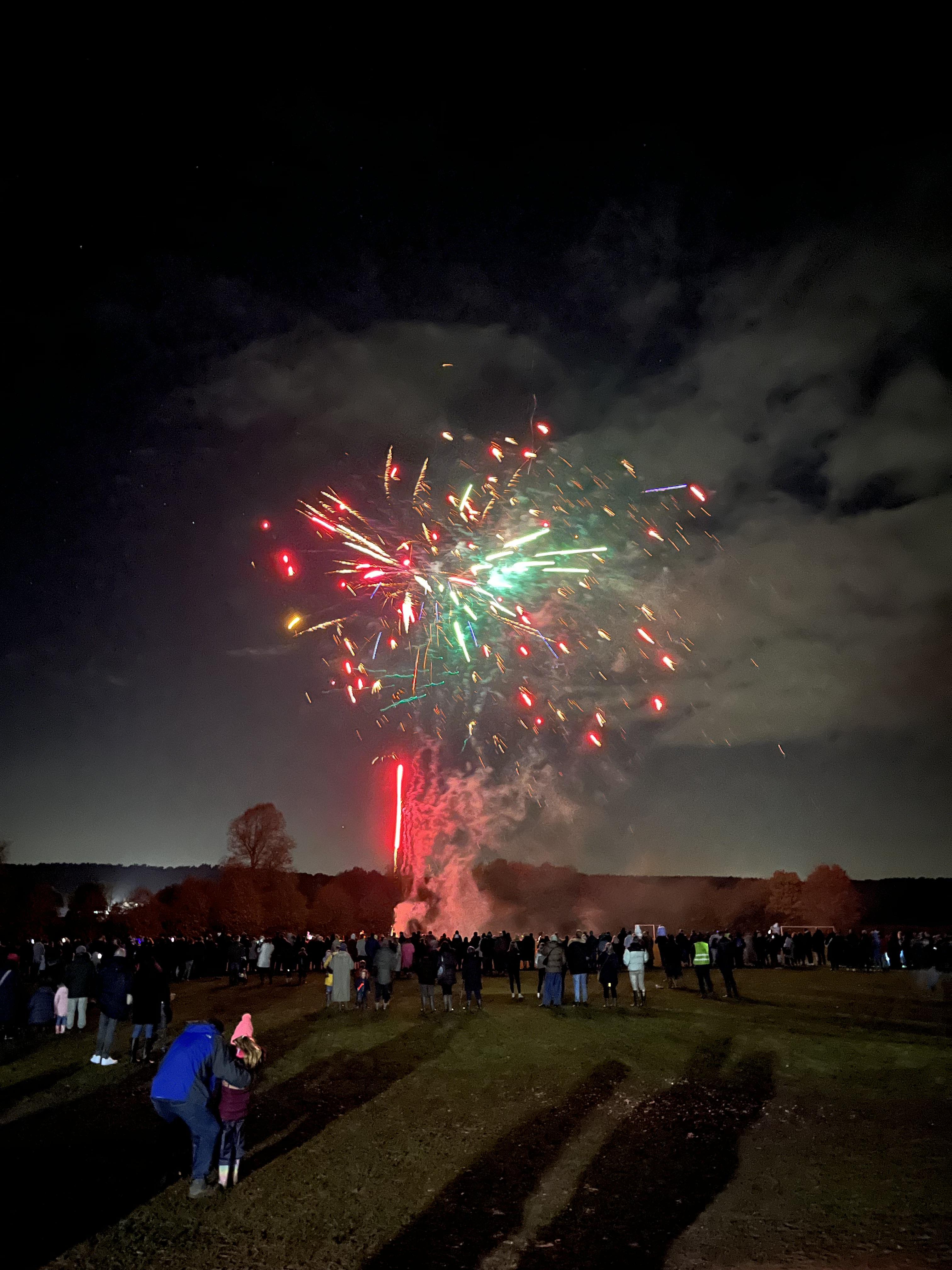 Picture of fireworks the Woburn display