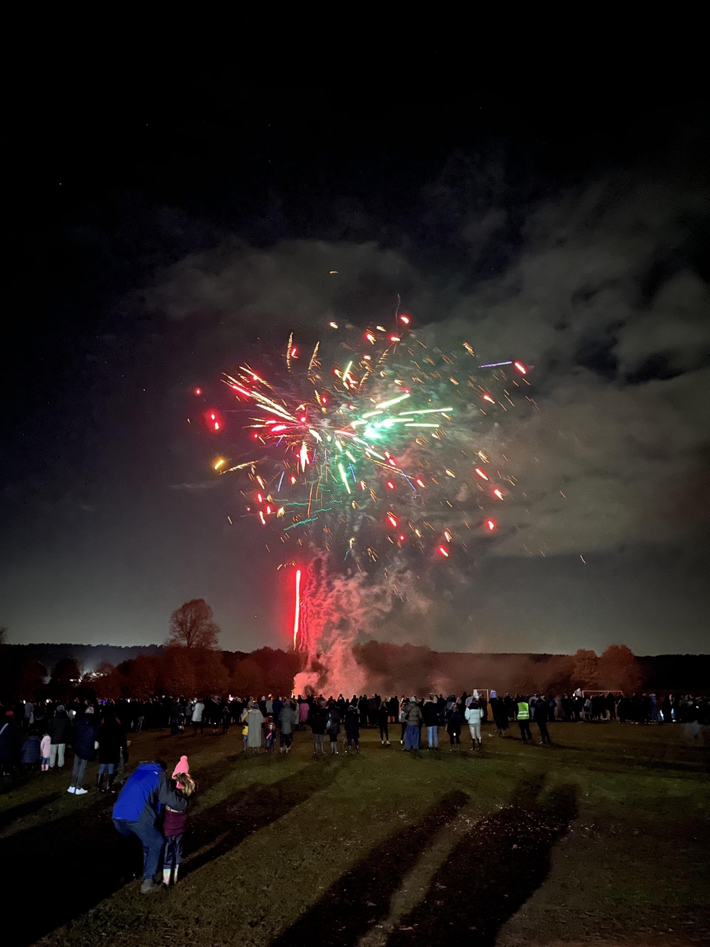 Picture of fireworks the Woburn display