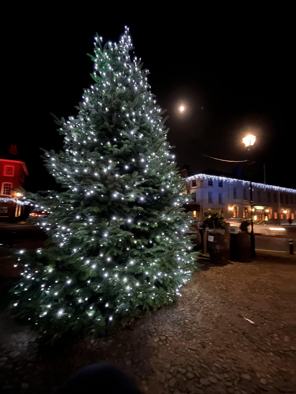 Christmas tree on the cobbles in Woburn