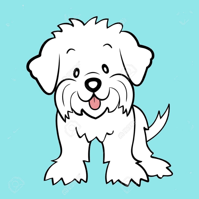 store_logo