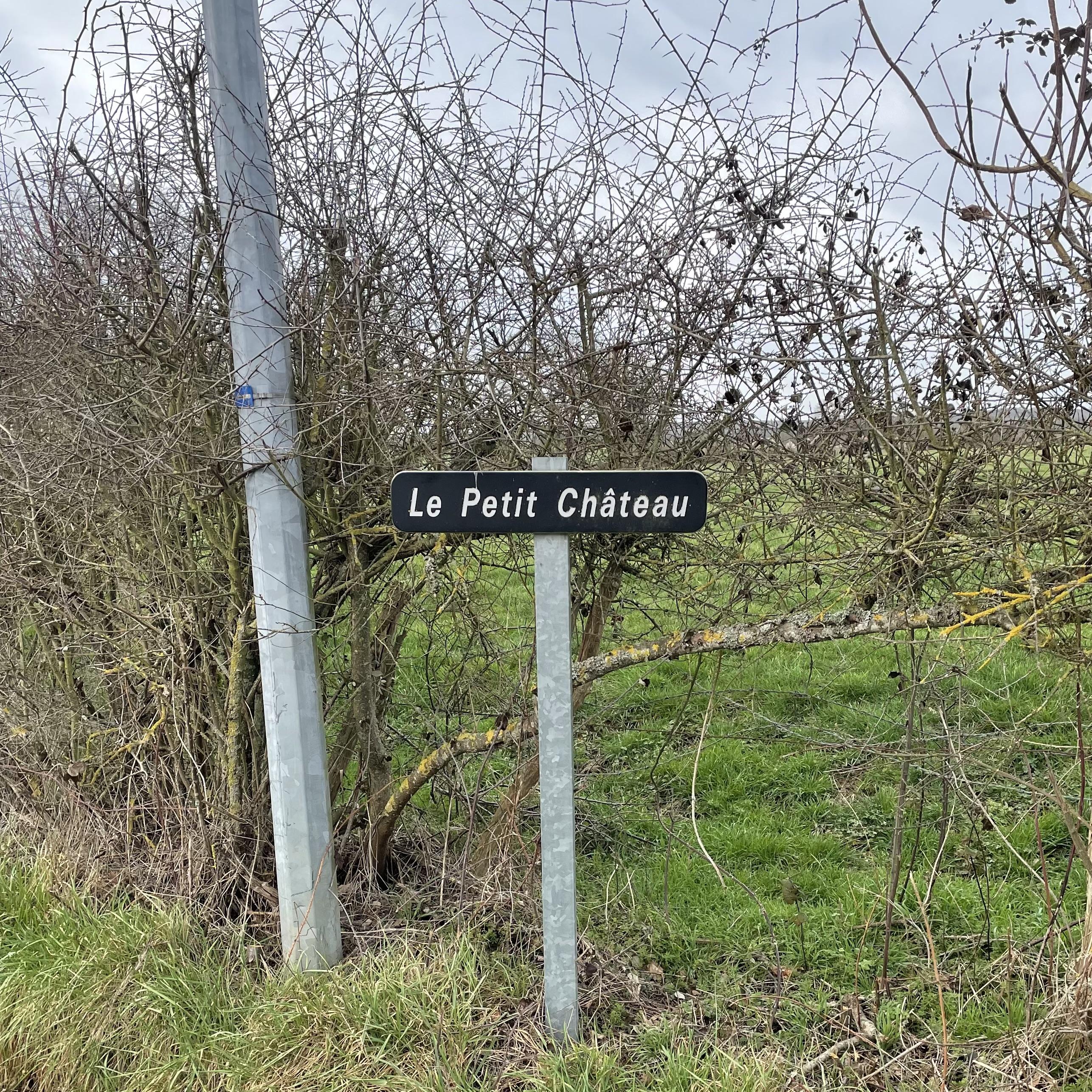 Section image