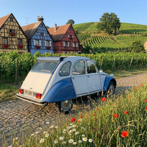 Location en Alsace, Grussenheim