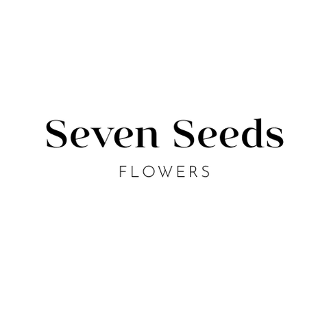 store_logo
