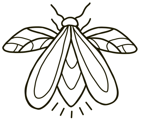 Drukwerk, grootformaat, gadgets, en meer. Helemaal op maat, met passie gemaakt vanuit Herent / Leuven.