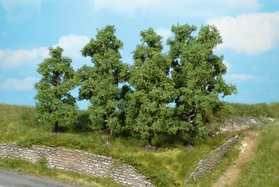 végétation_arbres
