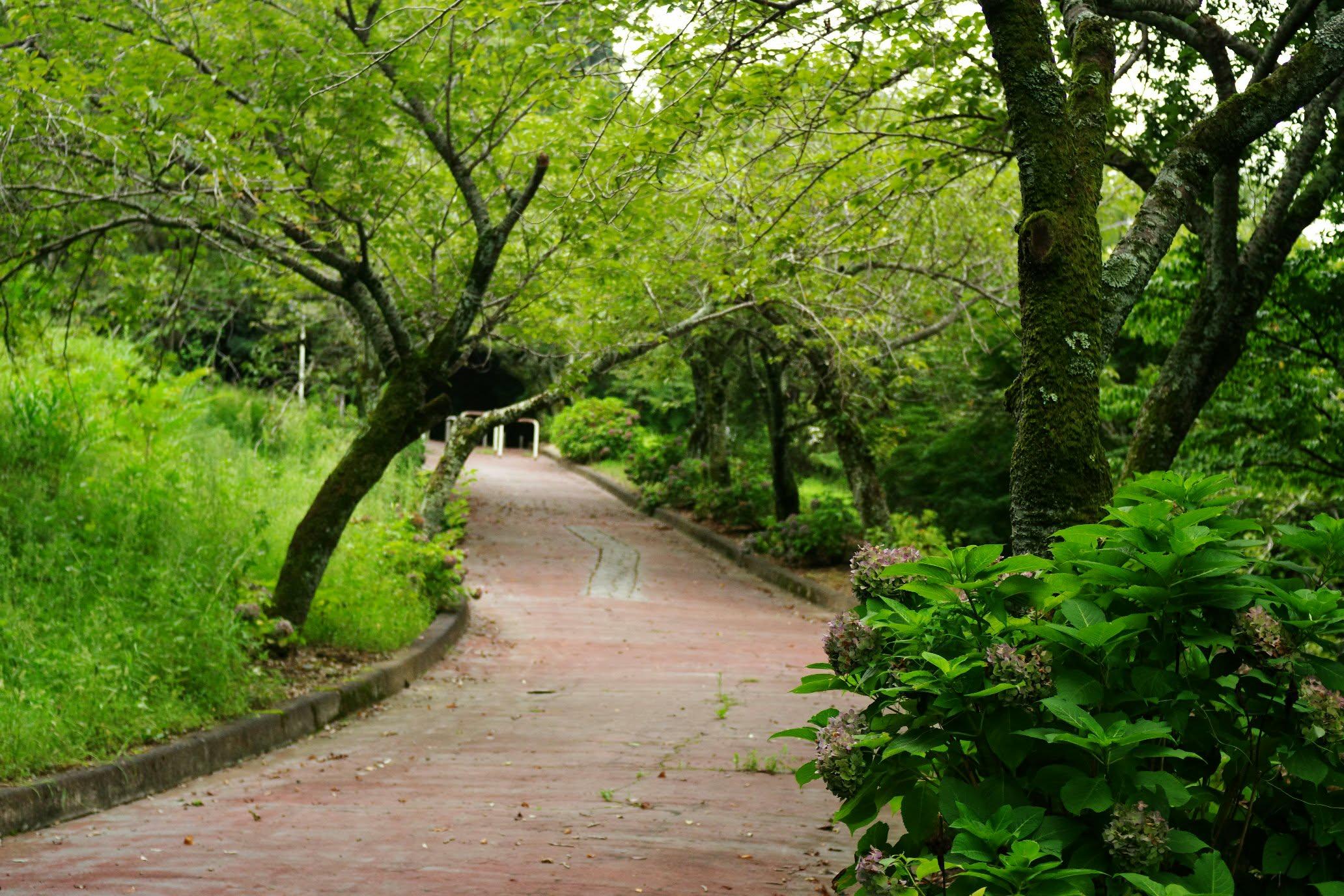 Nature Walk & Talk 