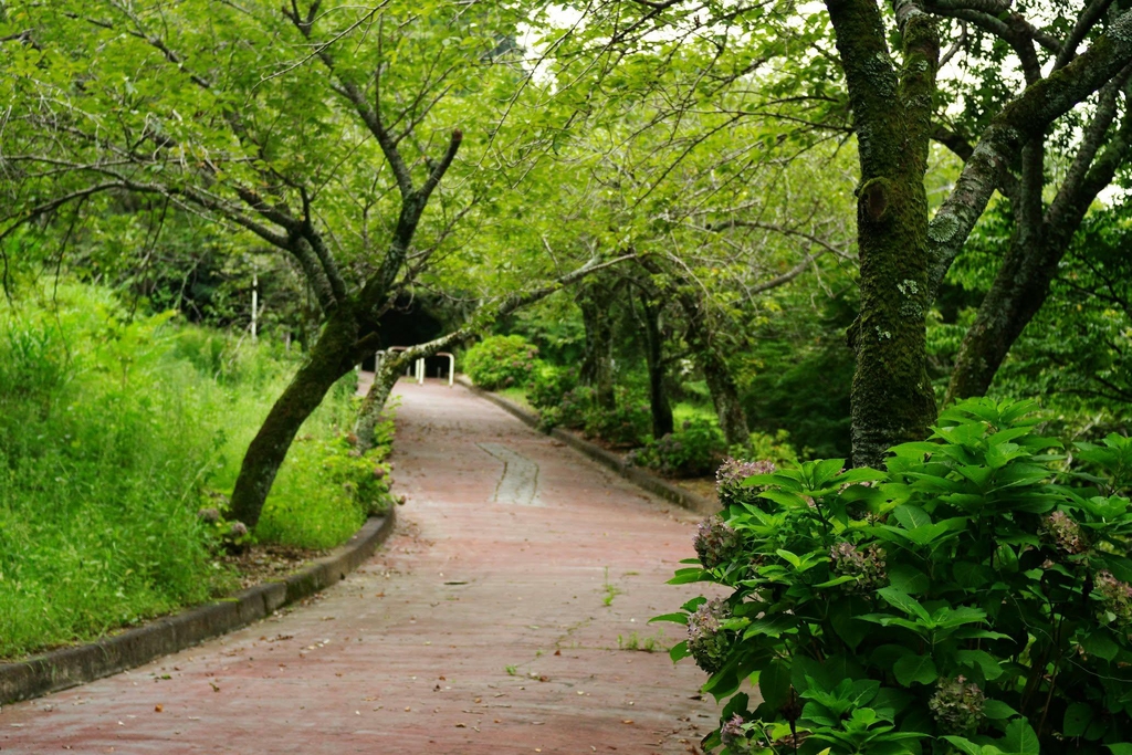 Nature Walk & Talk Programme