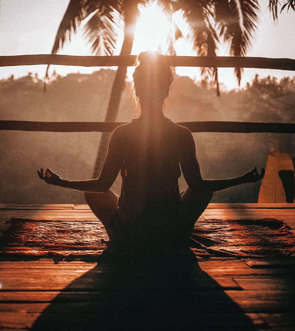 Welcome To The Wellness Haven