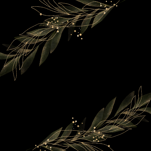 product_list_image_cover