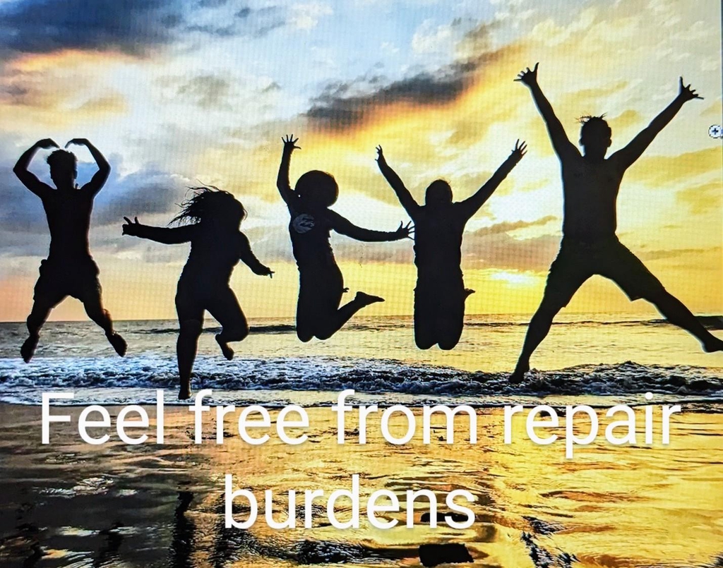 Looking for  a professional Mechanic with budget friendly prices