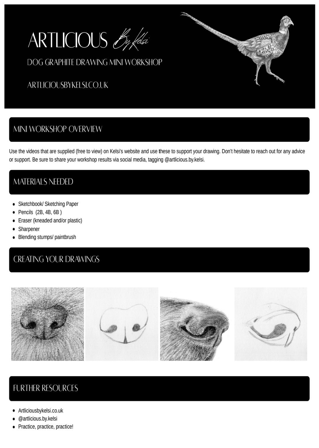 Mini Workshop 1
Dog Noses