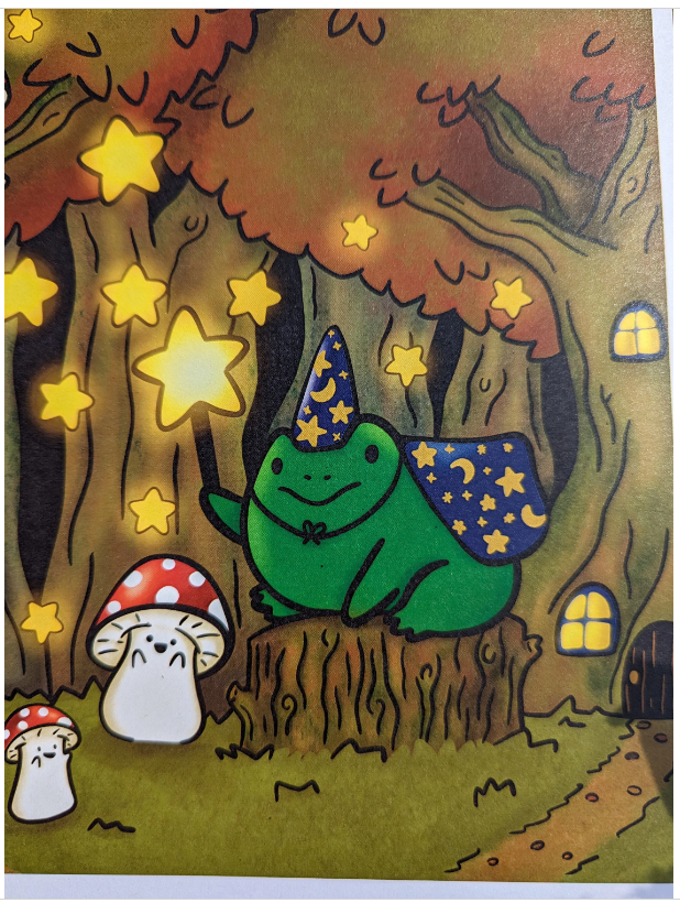 Zoomed in picture of a frog wizard print.