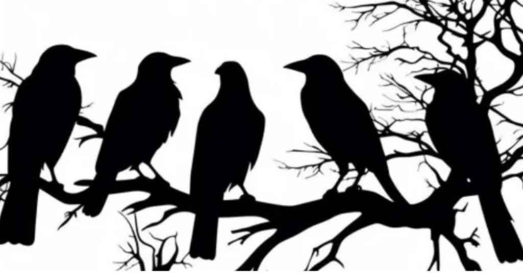 banner_image