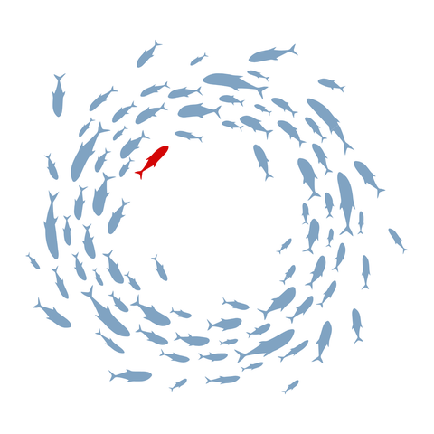 Donations towards keeping content coming at Critically Thinking!