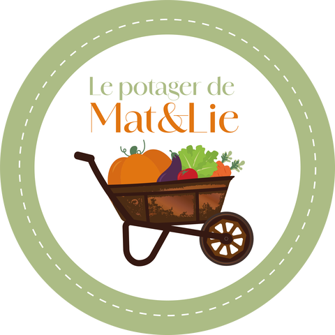 store_logo
