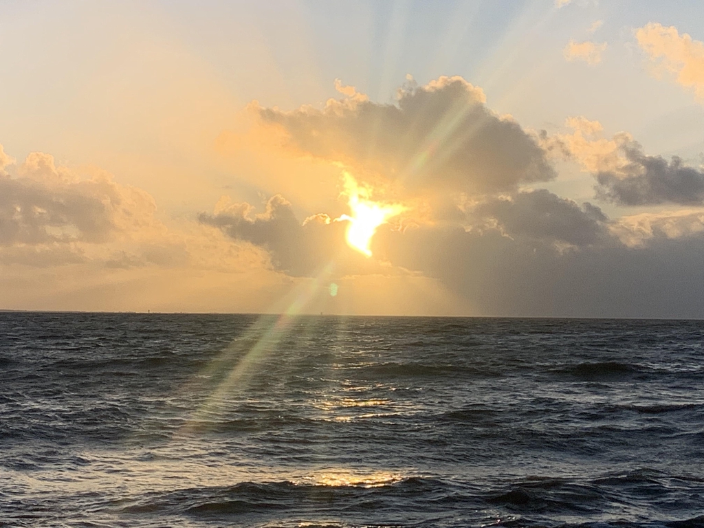 Des livres contre le cancer