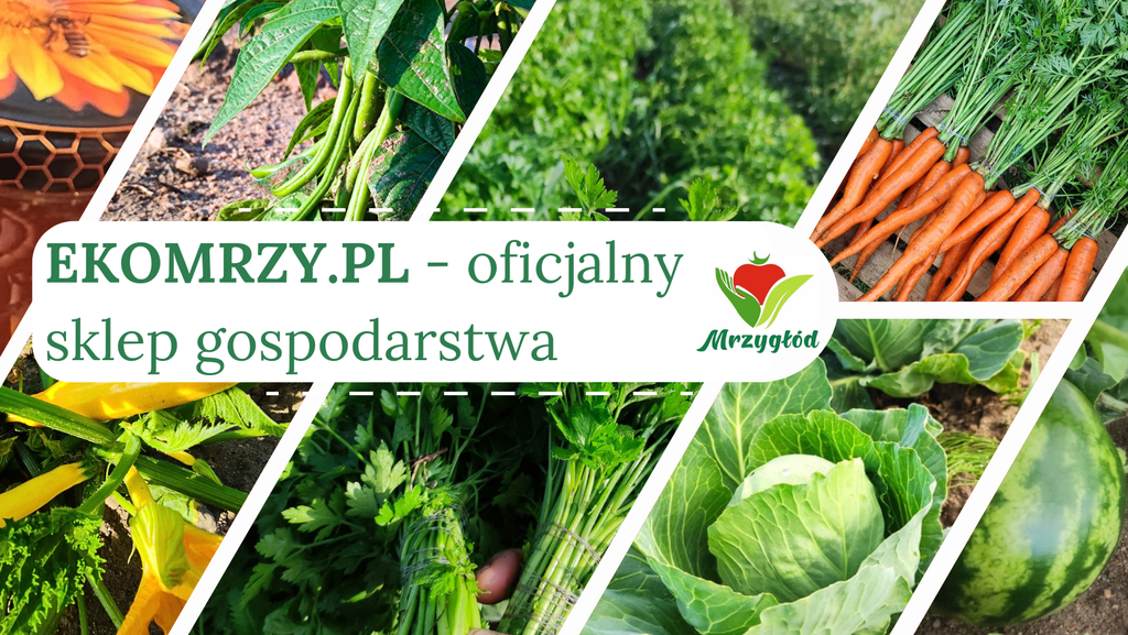 Ekologiczne warzywa prosto z gospodarstwa na stół!