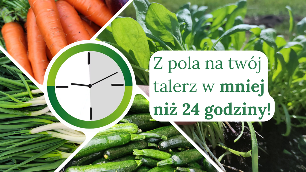 Szybka wysyłka warzyw w mniej niż 24 godziny!