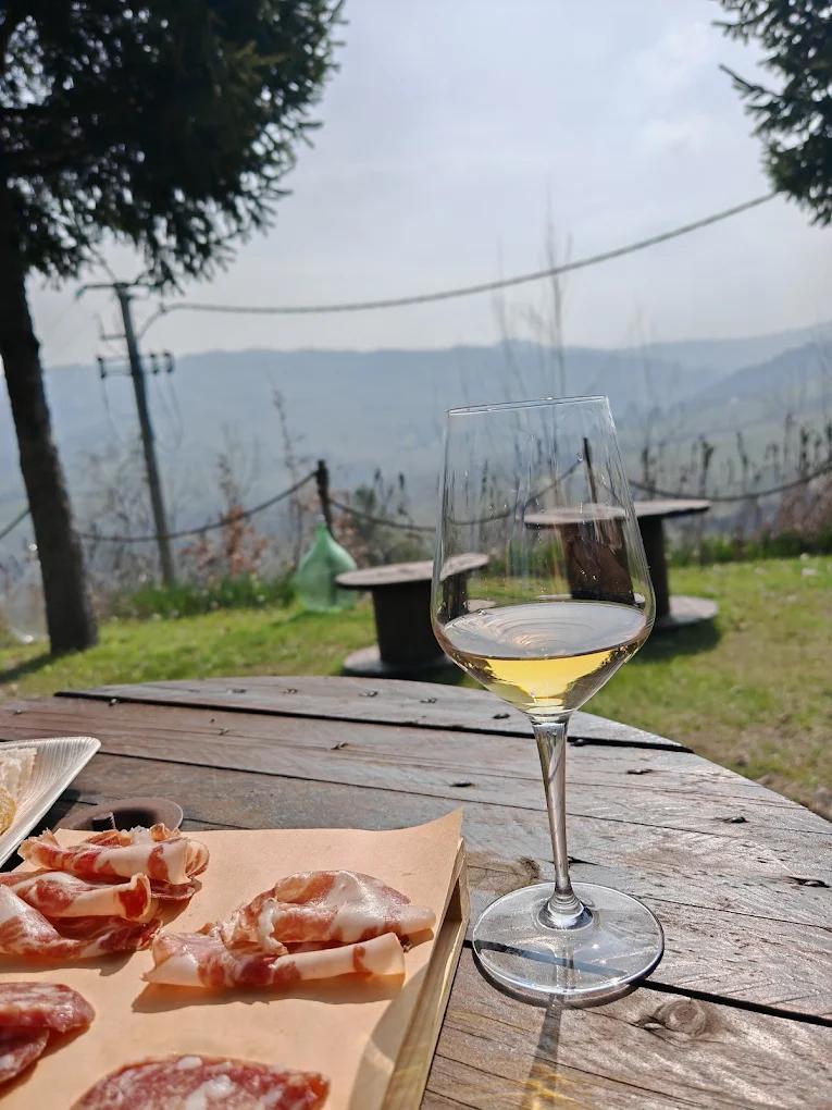 Degustazione Vini e Tour dei Vigneti in Oltrepò Pavese – Dezza 1890