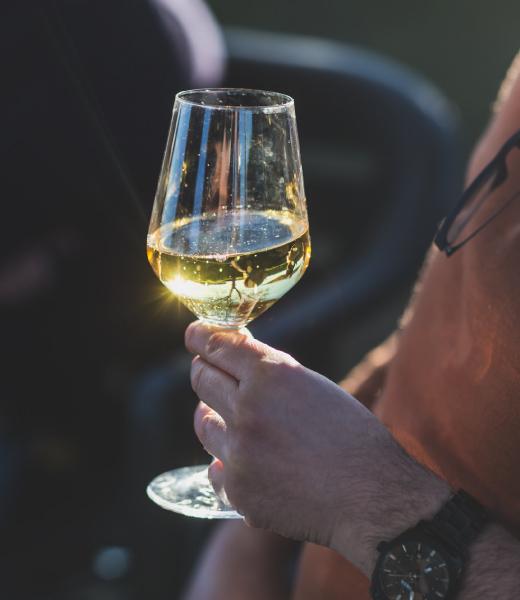 Prenota una Visita in Cantina con Degustazione | Dezza 1890 Winery in Oltrepò Pavese