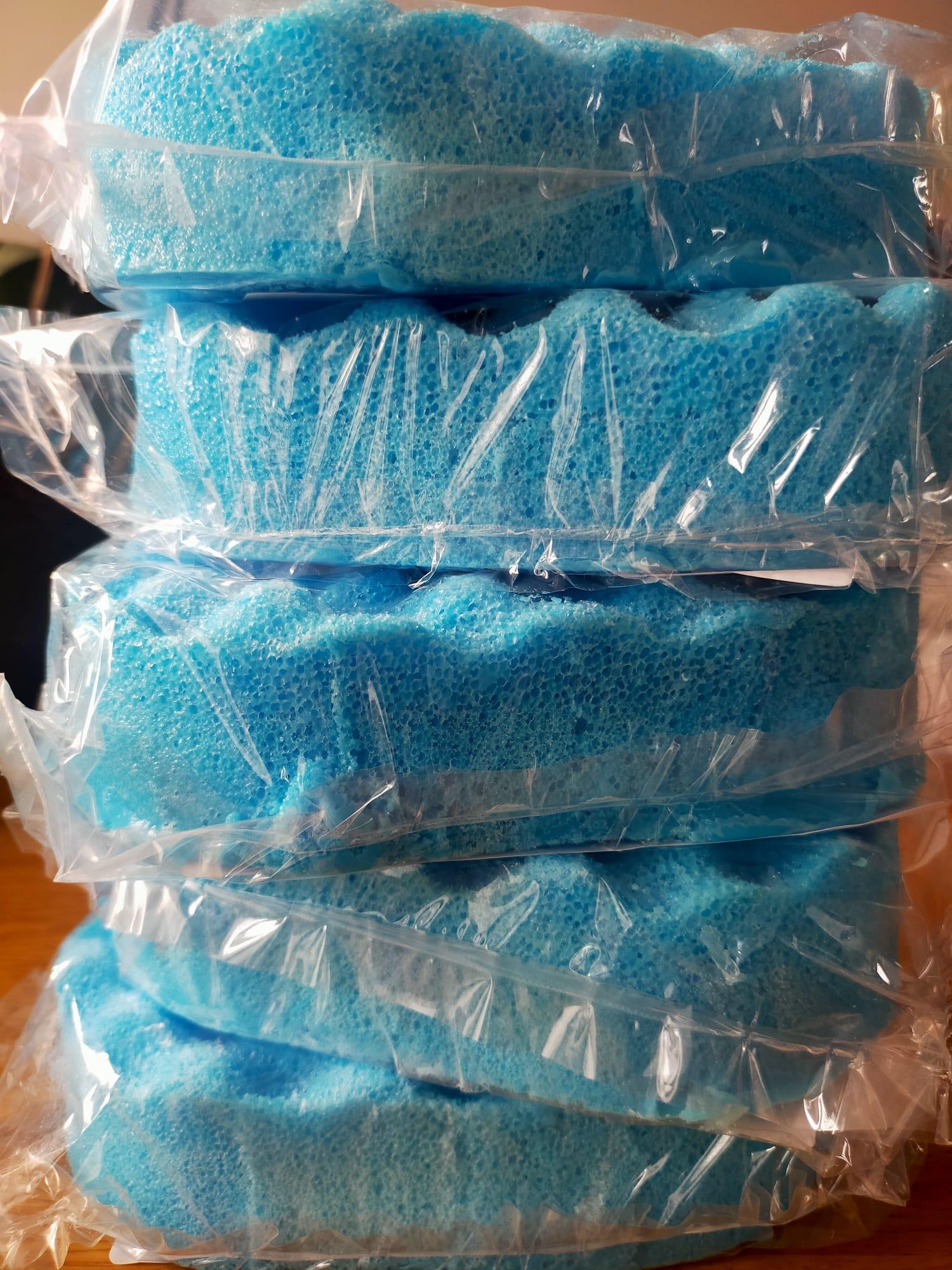 SOAP SPONGES