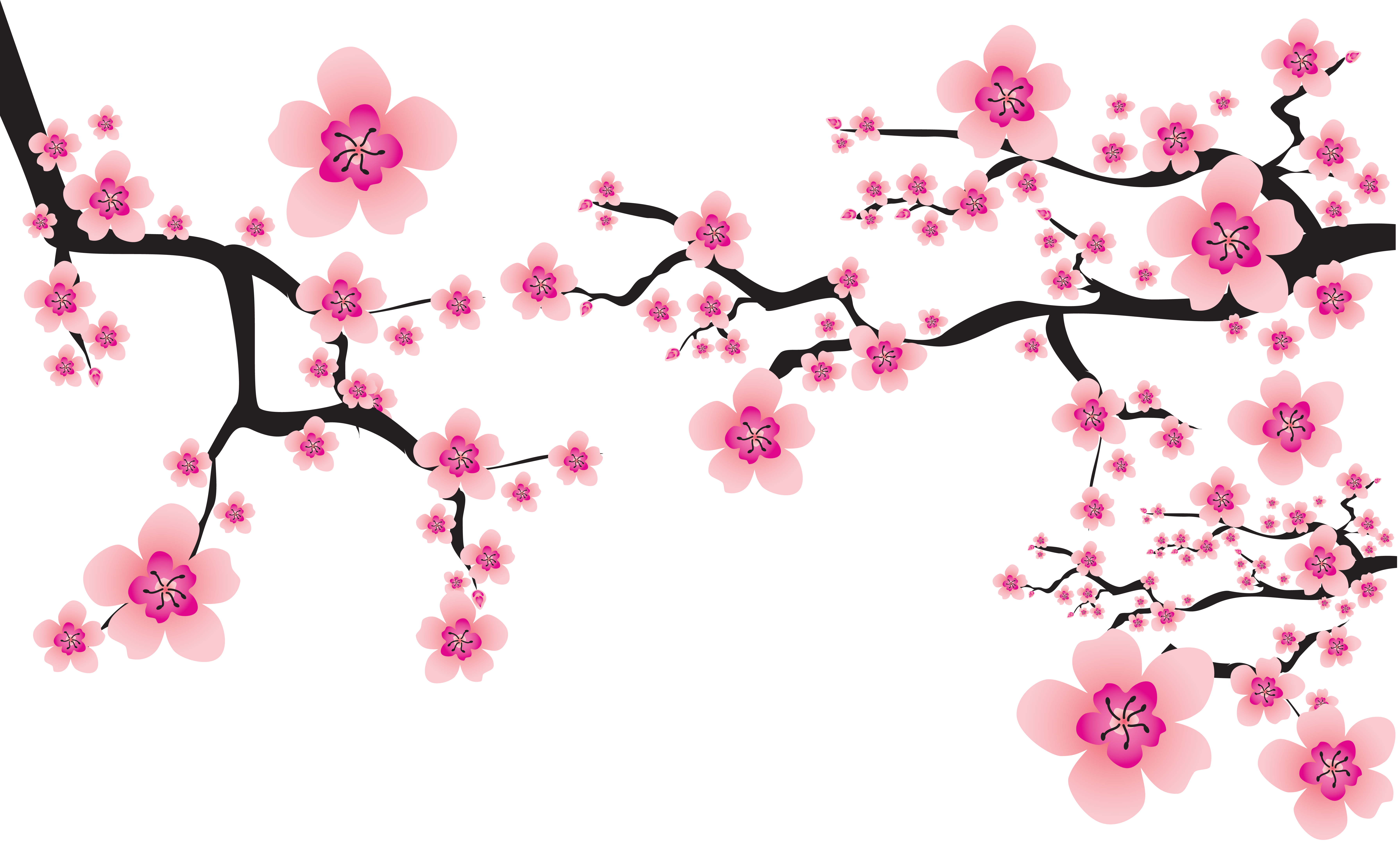 Browse our Spring shop