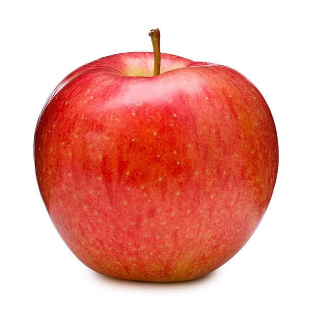 Fruits