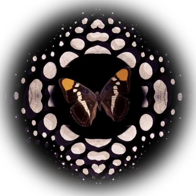 store_logo