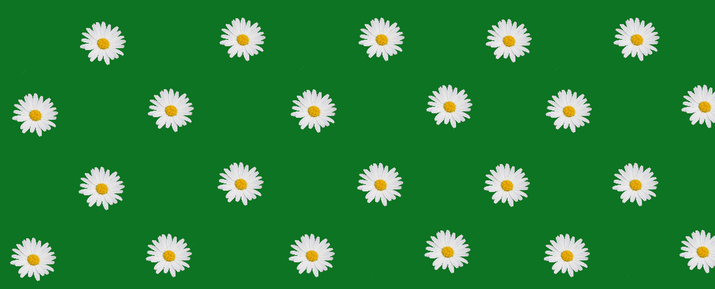 banner_image