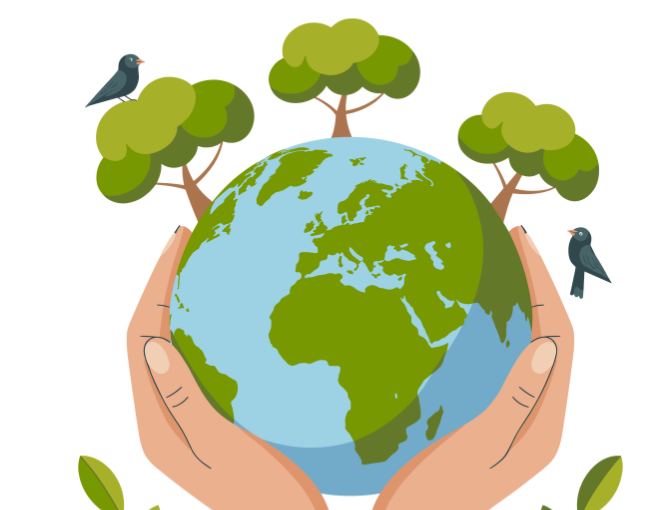 product_list_image_cover