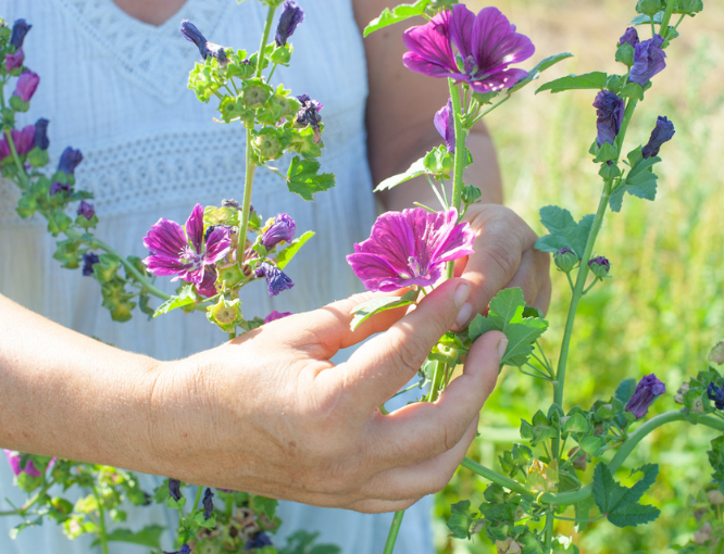 product_list_image_cover