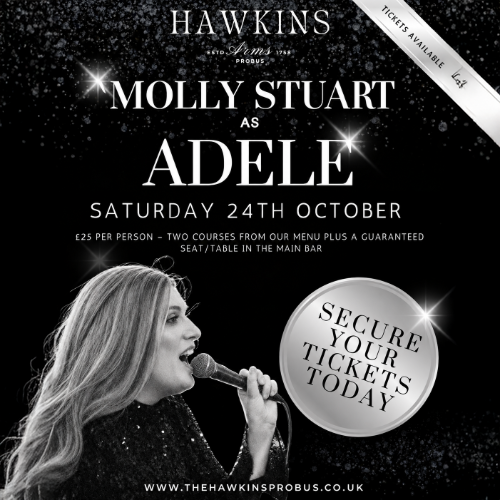 Live Music - Molly Stuart. 