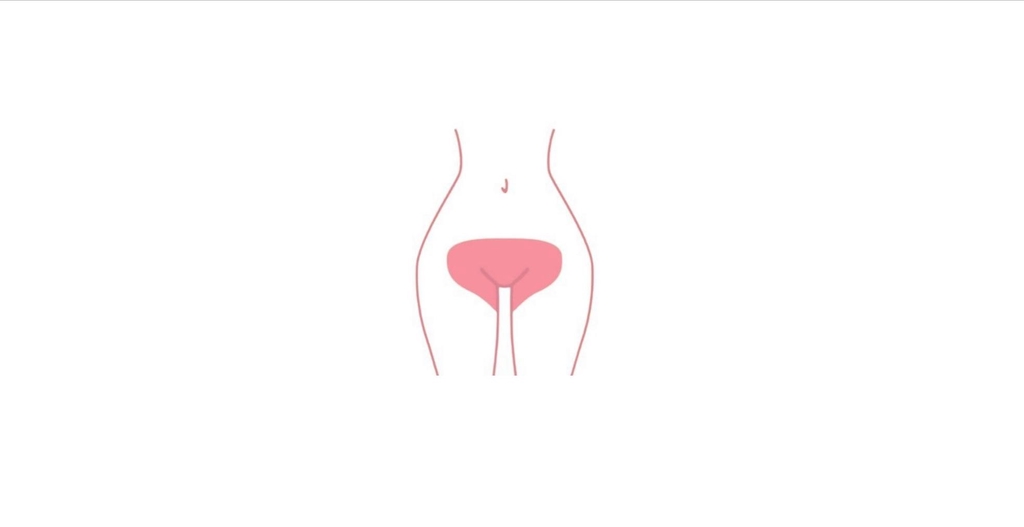 banner_image