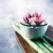 Segui le pagine Facebook  ed Instagram Le Vie del Benessere Oreno per rimanere sempre aggiornata/o sulle promozioni