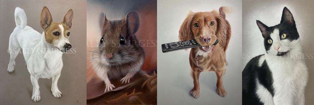 Gifts for wildlife lovers