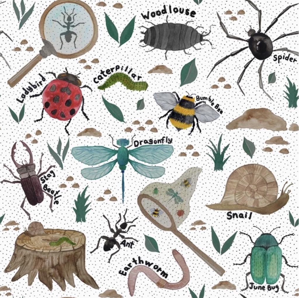 product_list_image_cover